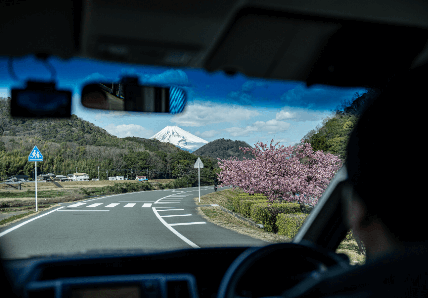 地元民が教える 混雑しない河津桜のおすすめスポット 旅館便り 伊豆長岡温泉 富嶽 はなぶさ 公式 中伊豆の温泉旅館